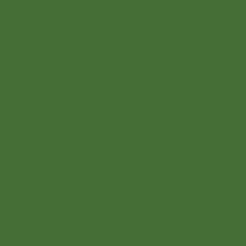 GRASS GREEN RAL 6010