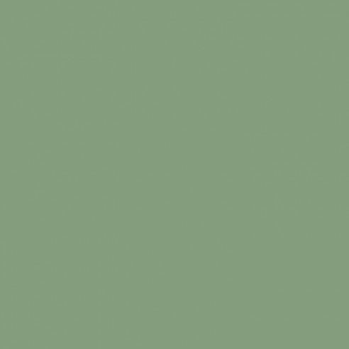 PALE GREE RAL 6021